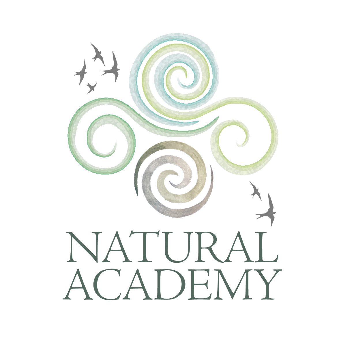 Natural Academy Logo Natural Academy Logo
